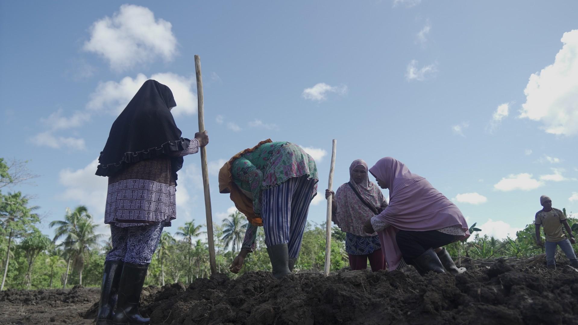 Aktivitas Penanaman Bibit Mangrove di Pulau Obi